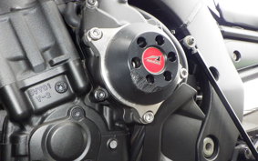 YAMAHA FZ1 FAZER 2010