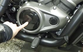 HARLEY RH975S 2024