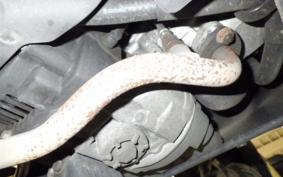 YAMAHA JOG ZR-4 SA56J