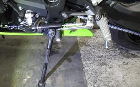 KAWASAKI NINJA ZX-6R A 2026 ZX636J