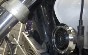 YAMAHA XJR1300 1999 RP01J