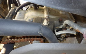 OTHER +UNREGISTERED MODEL by BDS50