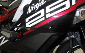 KAWASAKI ZX-25R 2021 ZX250E
