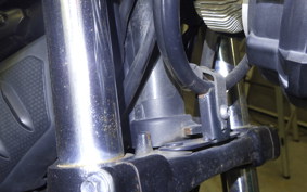 YAMAHA TRICKER DG10J