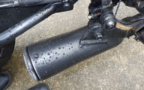 YAMAHA TW200 Gen.2 DG07J
