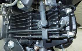 KAWASAKI Z125 PRO 2024 BR125H