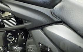 KAWASAKI VULCAN 650 SA 2019 EN650G