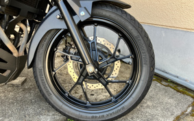 SUZUKI STROM 250 DS11A