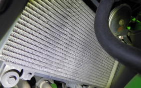 KAWASAKI NINJA 250 2008 EX250L