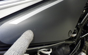 HUSQVARNA SVARTPILEN 401 2021