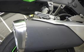 KAWASAKI NINJA 250 2007 EX250L
