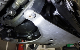 TRIUMPH SPEED TWIN 2019