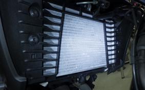 YAMAHA MT-25 A RG43J