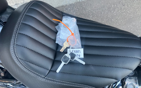 HARLEY  HARLEY FXBB 2025 YJ9