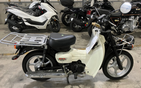 SUZUKI BAR DEE50 BA43A