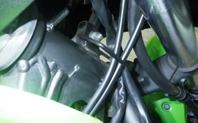 KAWASAKI NINJA 250 EX250L