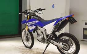 YAMAHA WR250R 2022 DG15J