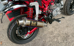 HONDA  MONKEY 125 JB03