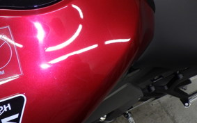 TRIUMPH DAYTONA660 2024