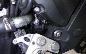 TRIUMPH STREET TRIPLE R 2010