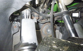 KAWASAKI NINJA 250R EX250K