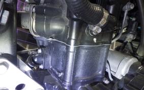 KAWASAKI KLX250D TRACKER X 2024 LX250V