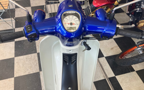HONDA  SUPER CUB 125 TYPE X JA56