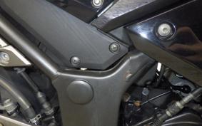 KAWASAKI NINJA 300 2013