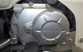 HONDA C110 SUPER CUB 2024 JA44