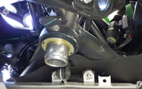 KAWASAKI ZX-4RR 2025 ZX400P