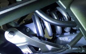 KAWASAKI NINJA 1000 SX 2025 ZXT02K