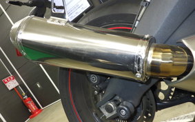 TRIUMPH DAYTONA 675 R