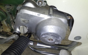 HONDA C50 SUPER CUB 2024 C50