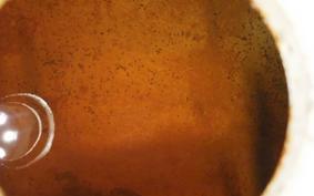 YAMAHA RZ250R 2024 29L