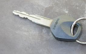 SUZUKI GRASS TRACKER NJ47A