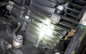 YAMAHA FZS25A