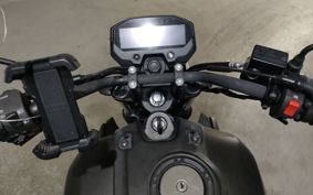 YAMAHA FZ-X RG73