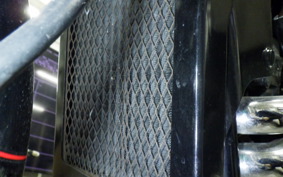 KAWASAKI ELIMINATOR 250 2023 EL250A