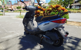 YAMAHA AKUSHI STREET SE53J