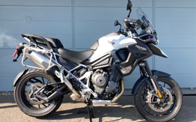 TRIUMPH  TRIUMPH  TIGER 1200GTPRO 2024 TAP22V