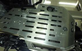 TRIUMPH TIGER 800 2019