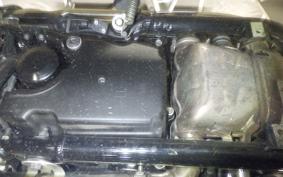 TRIUMPH SPEED TWIN 2019