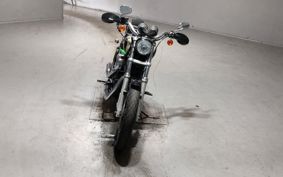HARLEY XL1200R 2007 CV3
