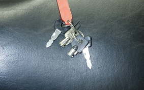 HARLEY FLSTCI 1450 2005