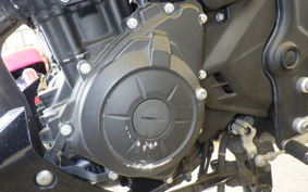 YAMAHA MT-25 RG10J