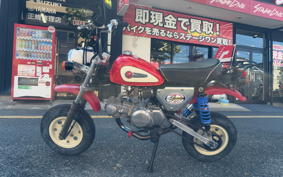 HONDA MONKEY Z50J