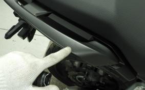 HONDA NX400 2024 NC65