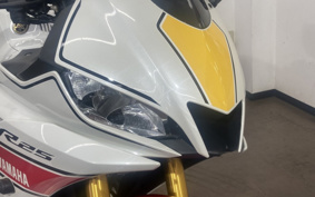 YAMAHA YZF-R25 RG74J