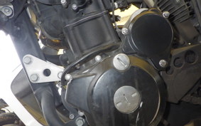 KAWASAKI KLX250D TRACKER X LX250V