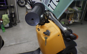 HONDA ZOOMER 2019 AF58